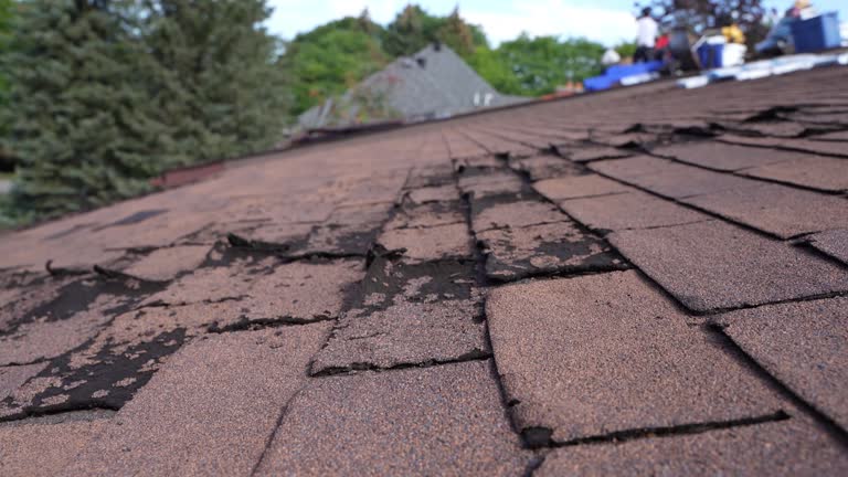 Best Storm Damage Roof Repair  in Sarasota Springs, FL