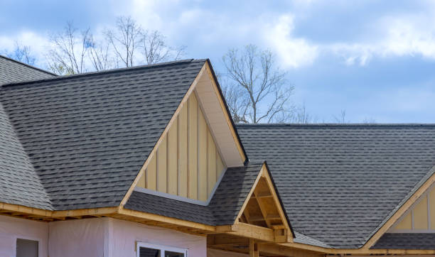 Best Asphalt Shingles Roofing  in Sarasota Springs, FL